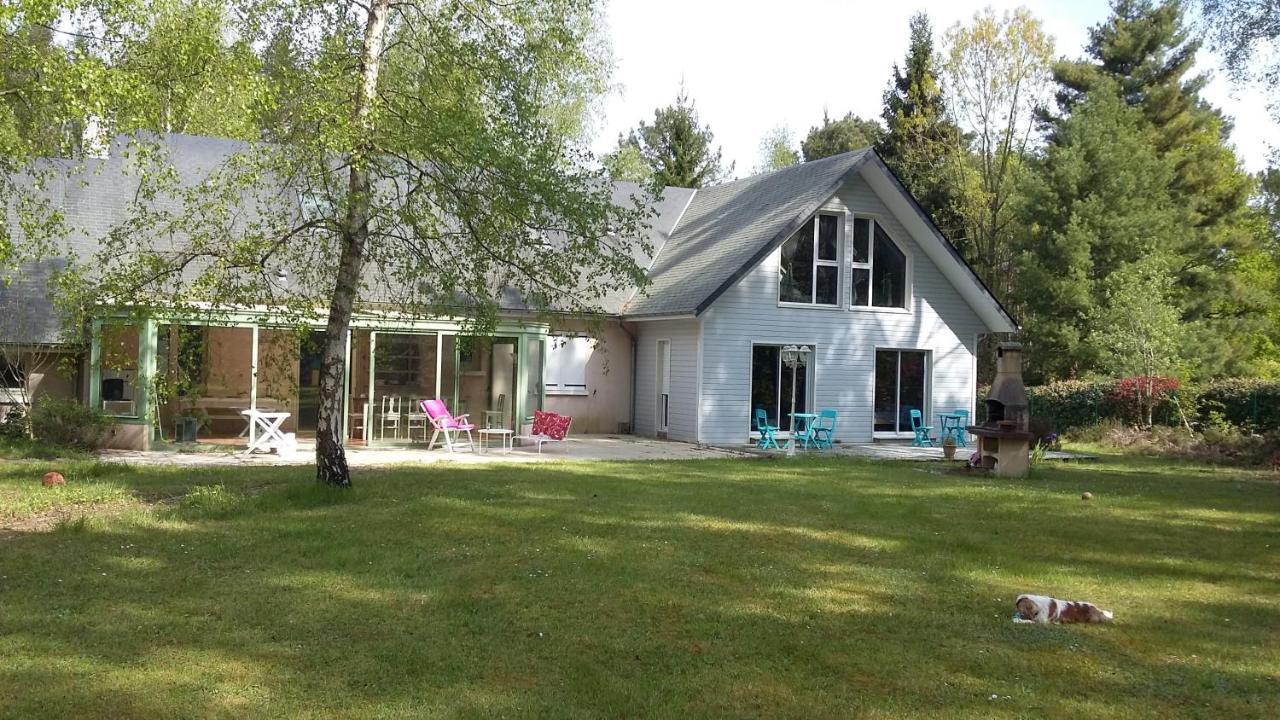B&B La Foret De Charmeuse Ruaudin Екстериор снимка