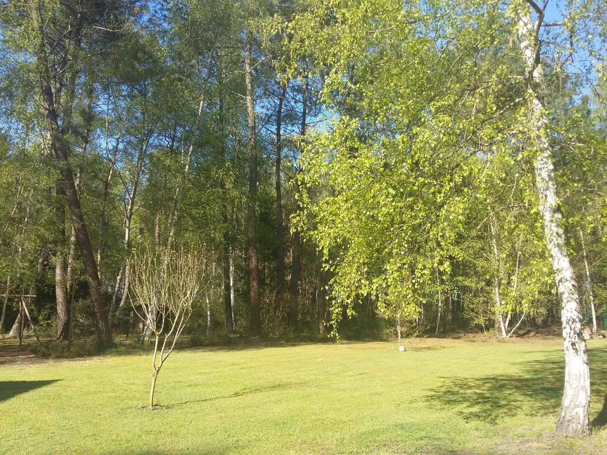 B&B La Foret De Charmeuse Ruaudin Екстериор снимка